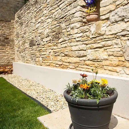 Vileta Juraga * Bale